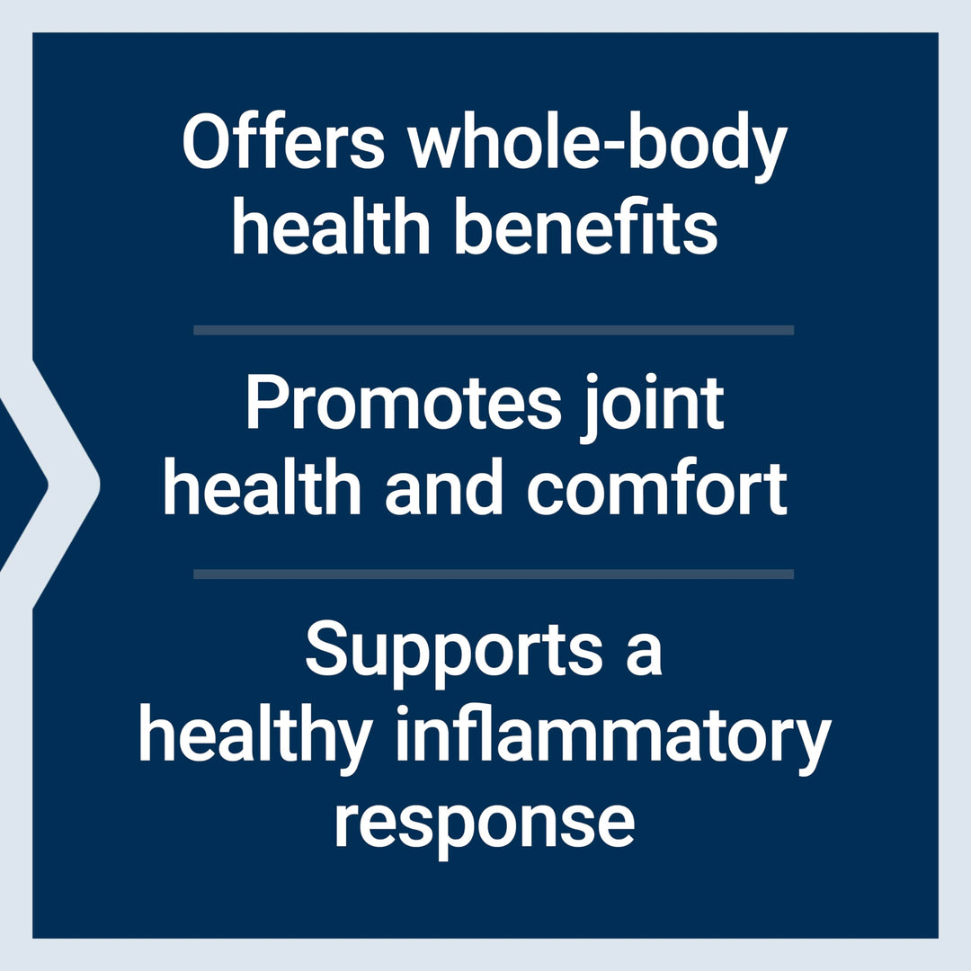 Super Bio-Curcumin Turmeric Extract – Highly-Absorbable Curcumin for Whole-Body Health Support – Gluten-Free, Non-GMO, Vegetarian – 60 Vegetarian Capsules