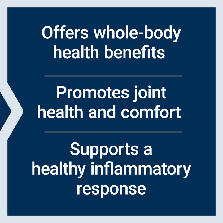 Super Bio-Curcumin Turmeric Extract – Highly-Absorbable Curcumin for Whole-Body Health Support – Gluten-Free, Non-GMO, Vegetarian – 60 Vegetarian Capsules