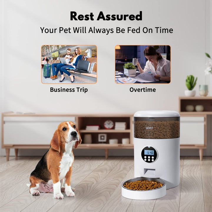 4L Automatic Cat Feeder,Timed Dog Feeder Pet Food Dispenser with Desiccant Bag for Dry Food,Programmable Portion Control &amp; Voice Recorder for Small/Medium Pets (4L, Grey)