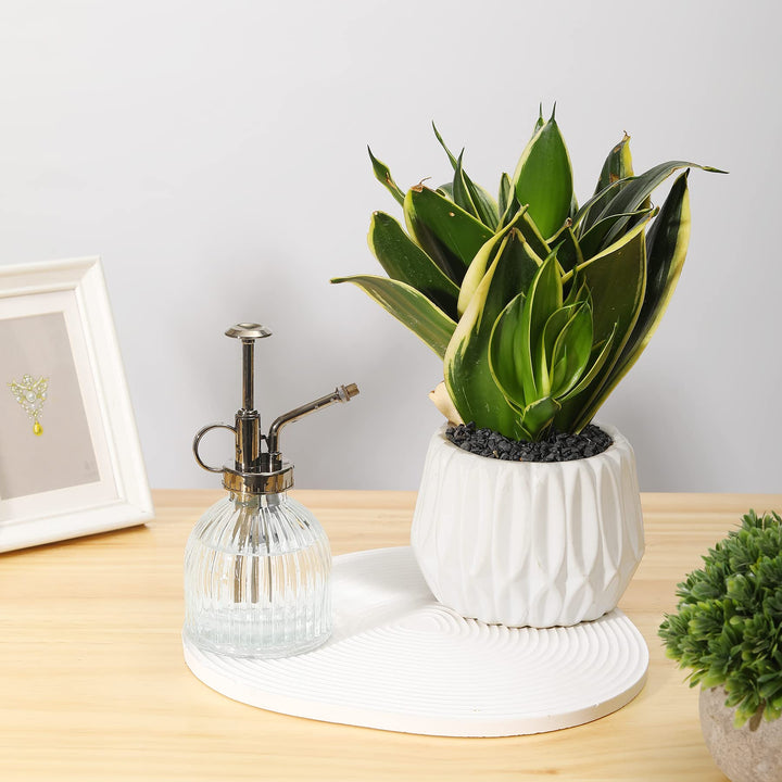 Glass Plant Mister Water Spray Bottle, 200 ML Glass Plant Spritzer Mister Bottle, Vintage Style Glass Succulent Watering Bottle with Top Pump, Plant Sprayer Mister for Indoor Plants - Clear
