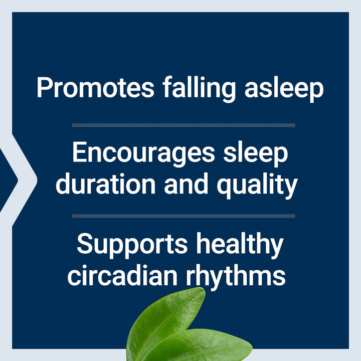 Melatonin 6 Hour Timed Release 3 mg - For Circadian Rhythm &amp; Immune Function, Cellular and DNA Health - Sleep Supplement - Non-GMO, Gluten-Free - Vegetarian Tablets, 60 Count