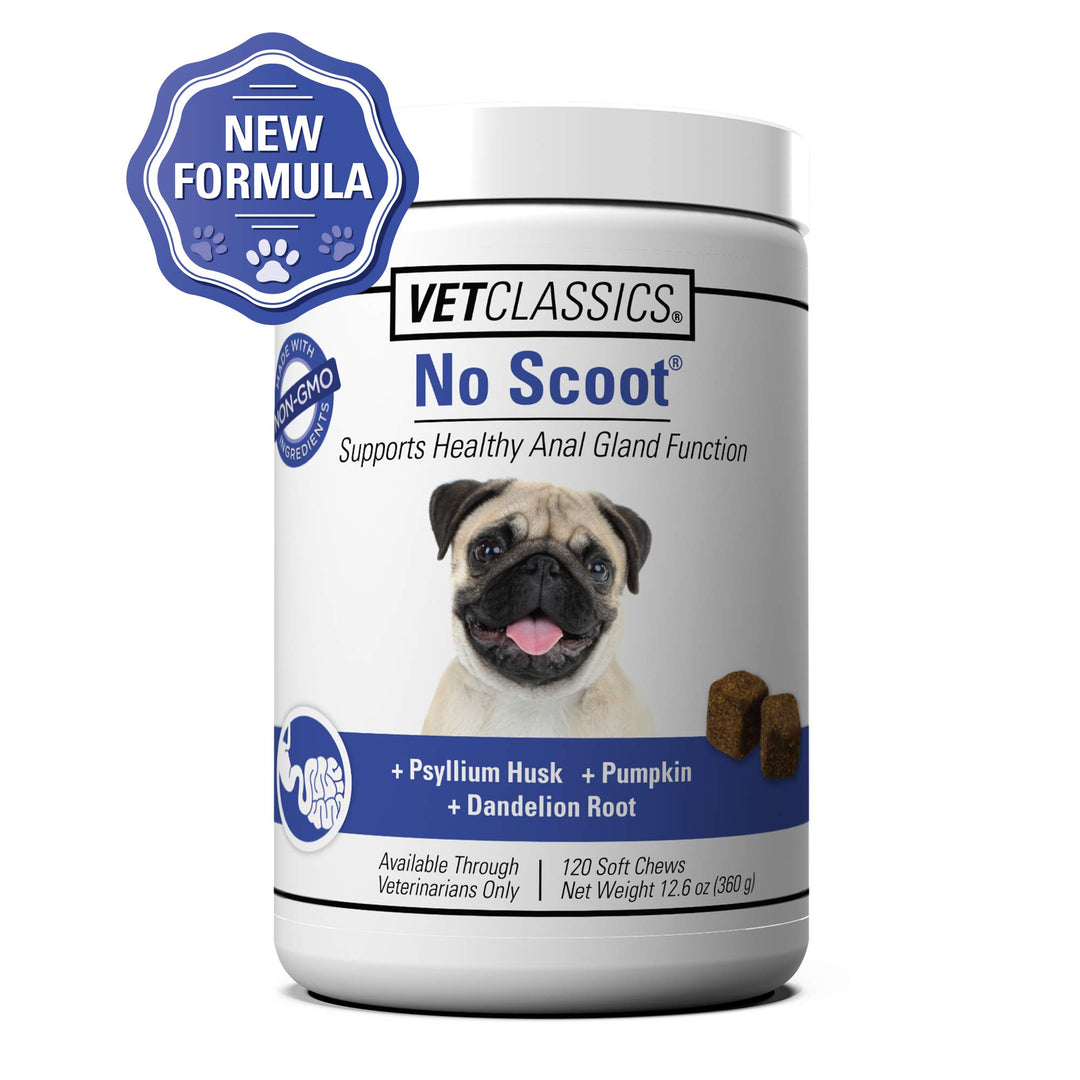 No Scoot Dog Supplements for Healthy Anal Gland Function – Support Normal Bowel Functions, Anal Glands – Increases Daily Fiber Intake for Dogs – 120 Soft Chews