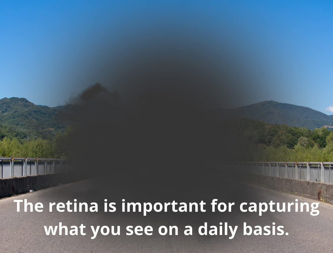 Heyedrate Ocular Health Formula - Complete Macula and R