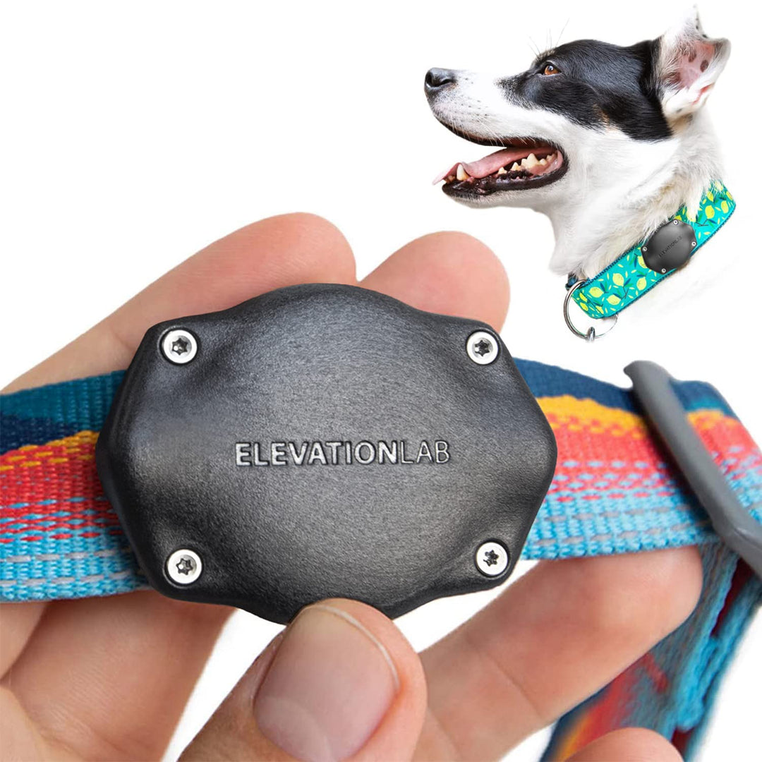 TagVault AirTag Dog Collar Mount (Single) - IP69 Waterproof, Doesn&#39;t Dangle, Fits All Width Collars, Glow in The Dark