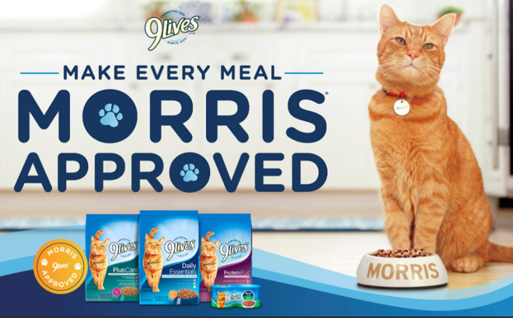 Paté Favorites Wet Cat Food Variety Pack, 5.5 Ounce (Pack of 12)