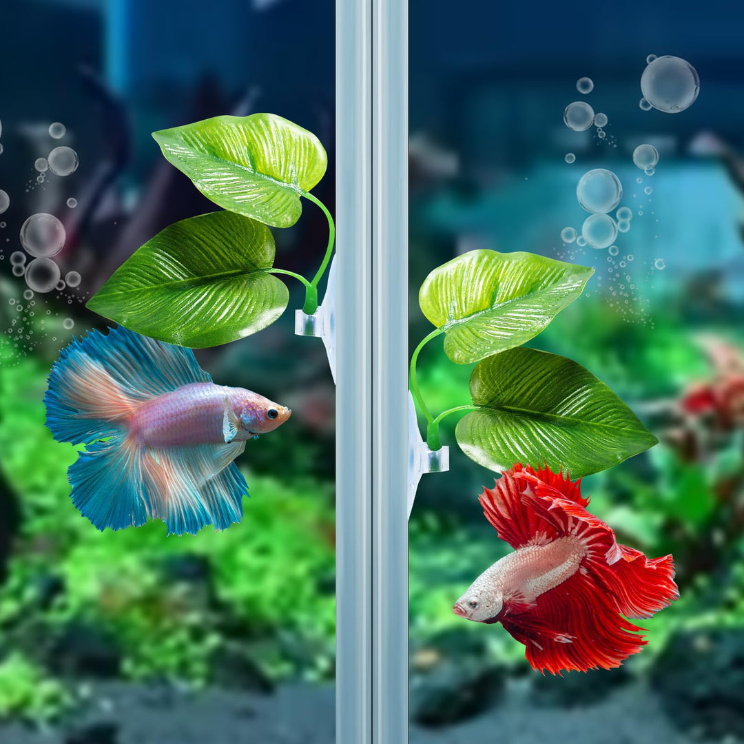 2 Pack Betta Fish Leaf Pad Improves Betta&#39;s Health by Simulating The Natural Habitat - Natural, Organic, Comfortable Rest Area for Fish Aquarium Ornaments