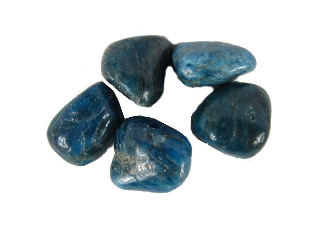 Blue Apatite Extra Grade Tumble Stone (20-25mm) - 5 Pack
