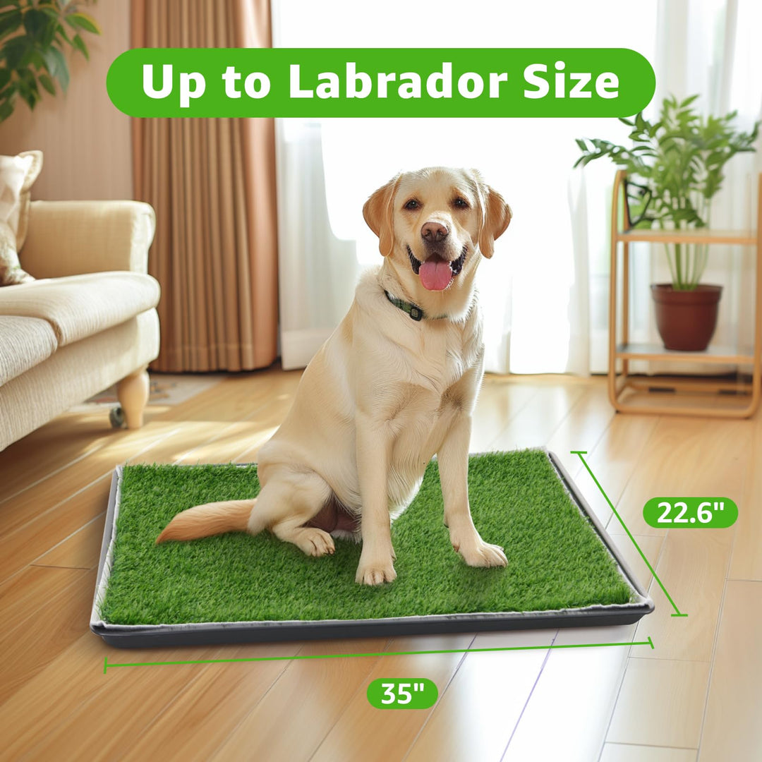Dog Grass Large Potty Patch, Dog Litter Boxes Artificial Grass Bathroom Turf for Pet Training, Washable Puppy Pee Pad, Perfect Indoor/Outdoor Portable Potty Pet Loo (Tray system-35X22.6)