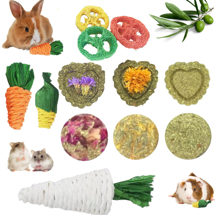 Rabbit Chew Toys 12PCS, Guinea Pig Toys, Bunny Toys for Teeth, Chew Toys and Treats for Rabbit Guinea Pig Hamster Chinchilla, Small Animal Teeth Care