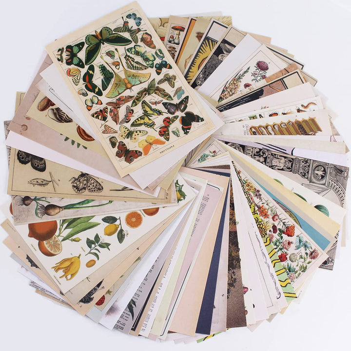 Wall Collage Kit,50 Pcs Vintage Botanical Wall Collage Posters Aesthetic Pictures for Tarot Boho Botanical Illustrations Nature Posters,Teen and Girls Dorm Room Art Aesthetic