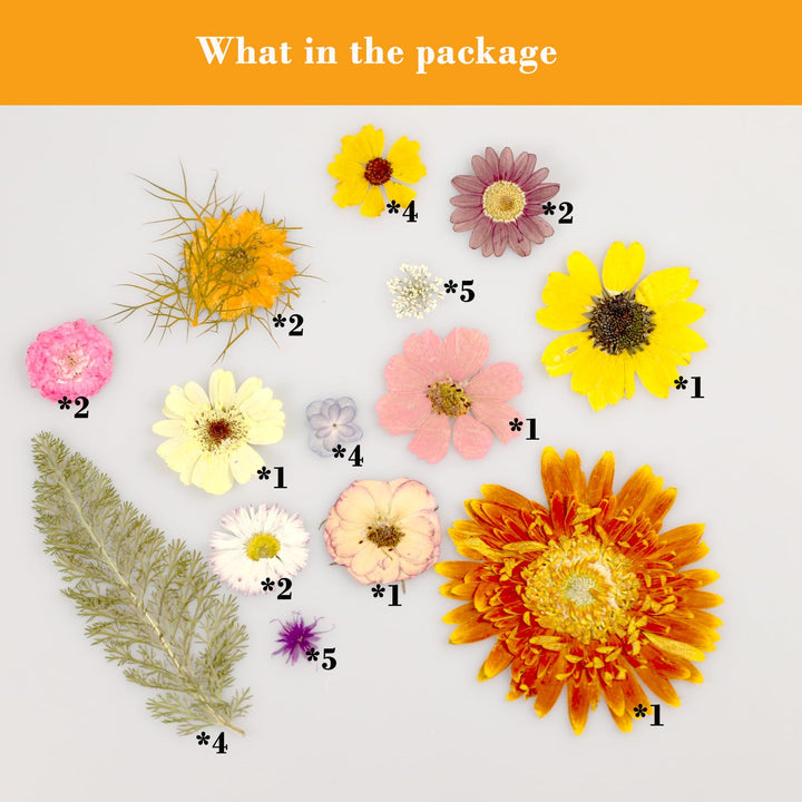 Assorted Real Dried Pressed Flowers Combination Real Dried Pressed Leaves Combination Natural Dry Flowers Leaves (57 Pieces)