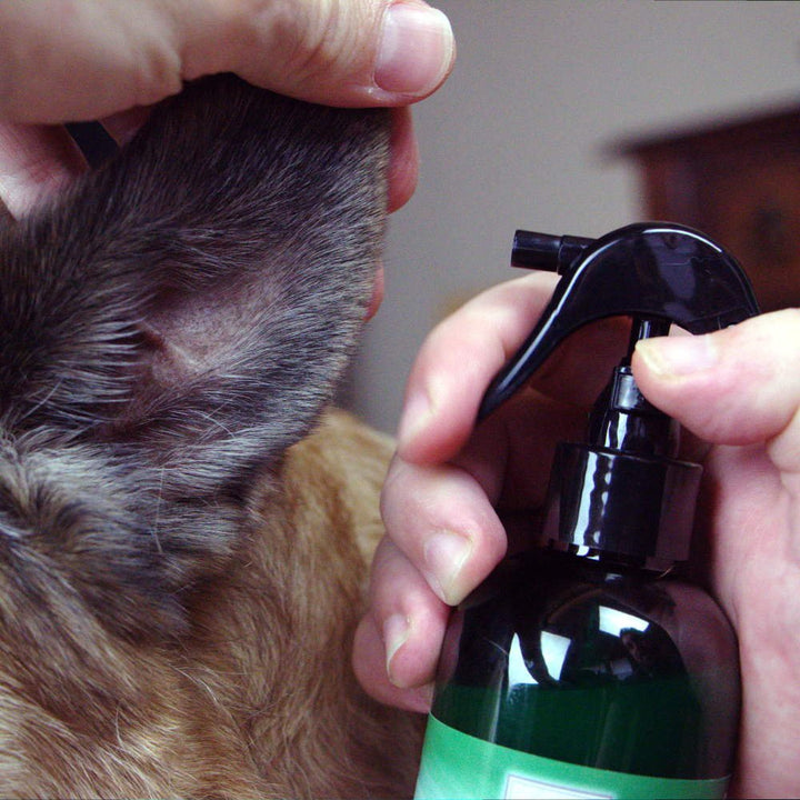 Silver Shield Dog &amp; Bedding Spray