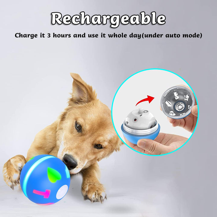 Interactive Dog Toy Wicked Ball for Indoor Cats/Dogs with Motion Activated/USB Rechargeable