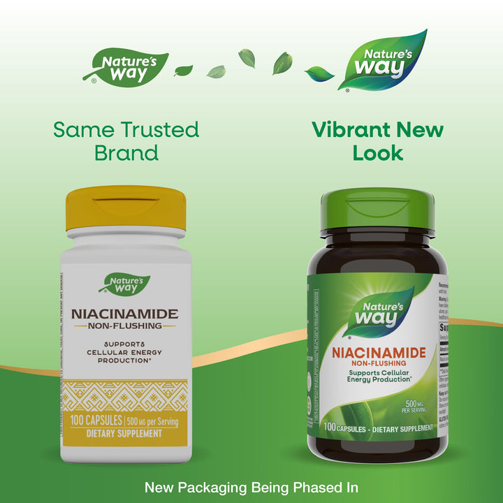 Nature&#39;s Way Niacinamide, Non-Flushing Vitamin 