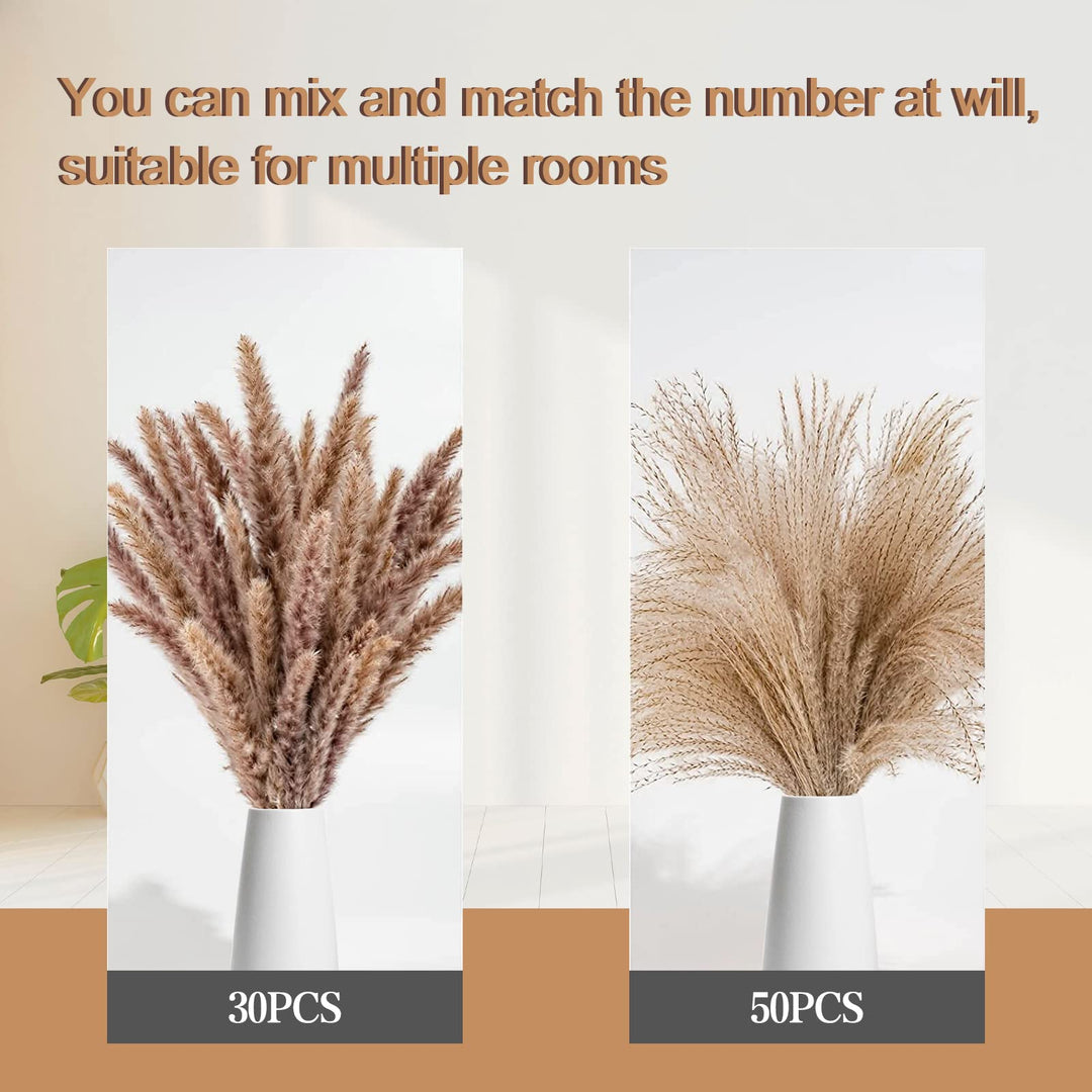 Pampas Grass Decor, 80pcs Natural Dried Pampas Grass - Brown Pampas Mixed Reed Grass for Boho Decor, Fluffy Pampas Grass Bouquet/Pompas Floral for Flower Arrangements Wedding Home Decor