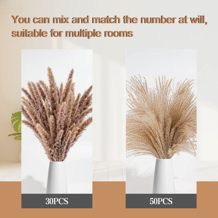 Pampas Grass Decor, 80pcs Natural Dried Pampas Grass - Brown Pampas Mixed Reed Grass for Boho Decor, Fluffy Pampas Grass Bouquet/Pompas Floral for Flower Arrangements Wedding Home Decor