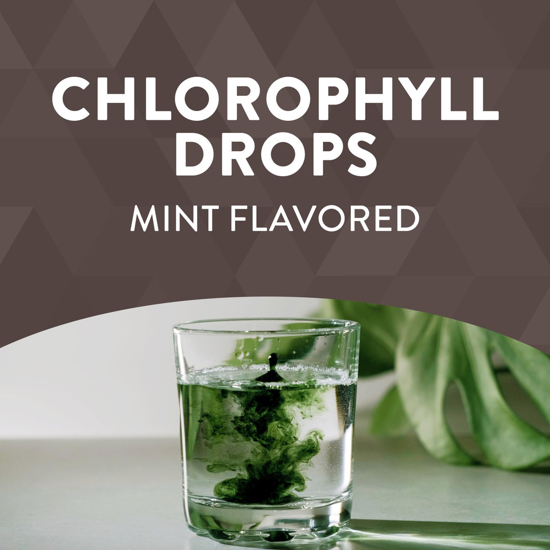 Nature&#39;s Way Chlorofresh, Liquid Chlorophyll Co