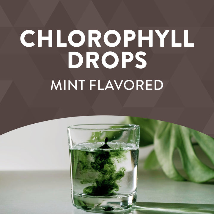 Nature&#39;s Way Chlorofresh, Liquid Chlorophyll Co