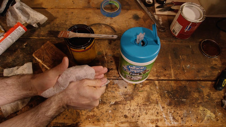 Professional Cleaning Wipes for Paint Cleanup (30-Count