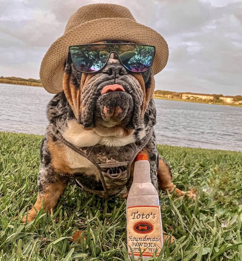 Toto&#39;s Plush Squeaky Crinkle Dog Toy - Funny Gifts for Medium, Small and Large Dogs - Cute Stuffed Toys for Dog Birthdays