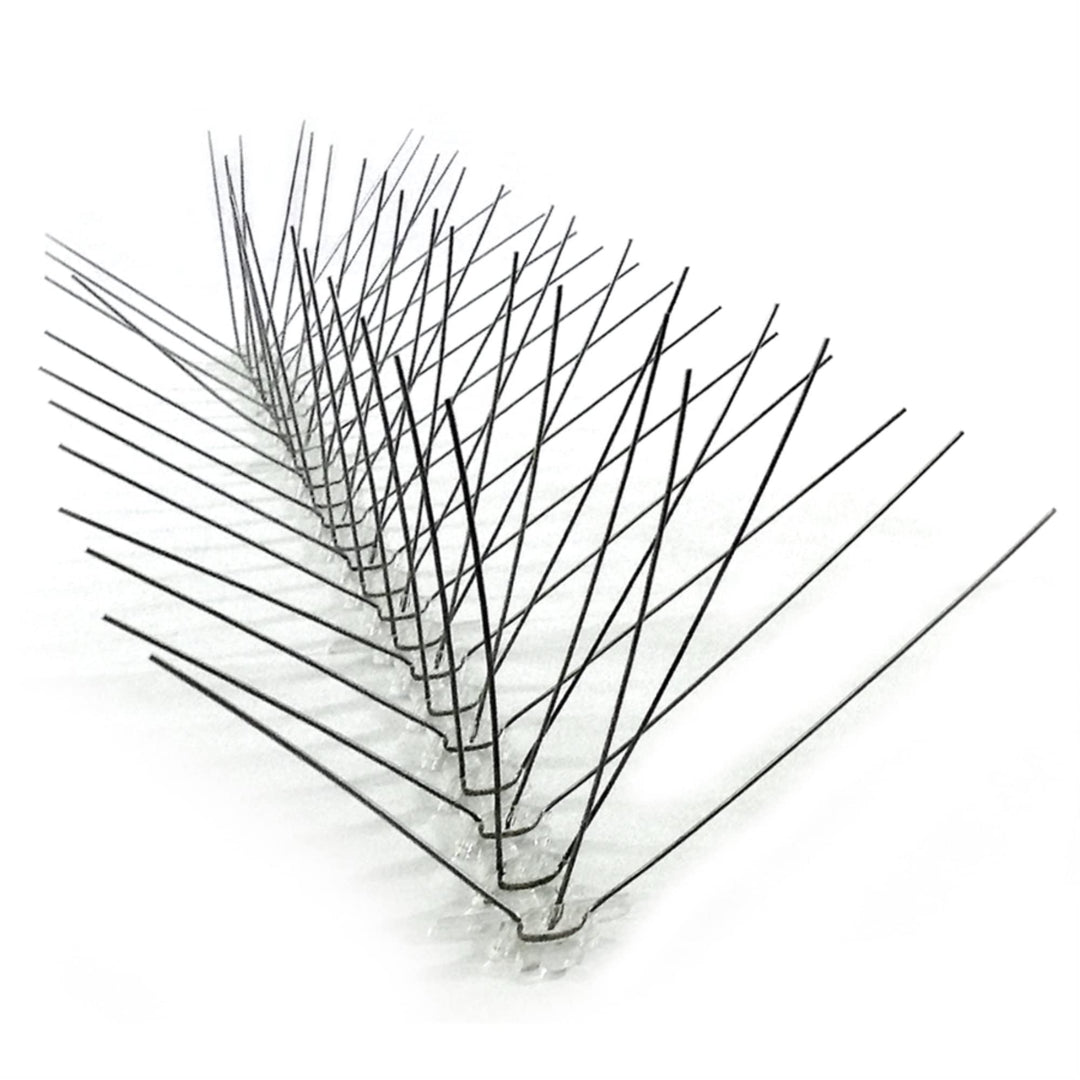 Stainless Steel Bird Spikes, Covers 100 Feet