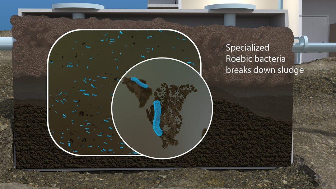 Roebic K-37-BAG Granular Septic Tank Treatment: Concent