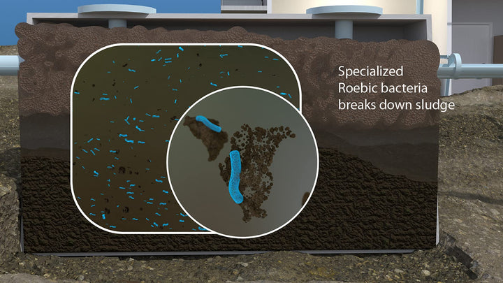 Roebic K-37-BAG Granular Septic Tank Treatment: Concent