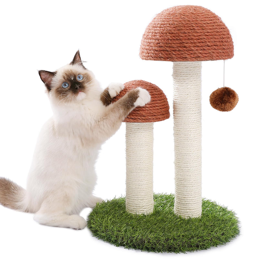Cat Scratching Post, Mushroom Tall Cat Scratcher Featuring with Natural Sisal Scratching Poles and Interactive Toy Ball for Kittens and Small Cats (Brown)