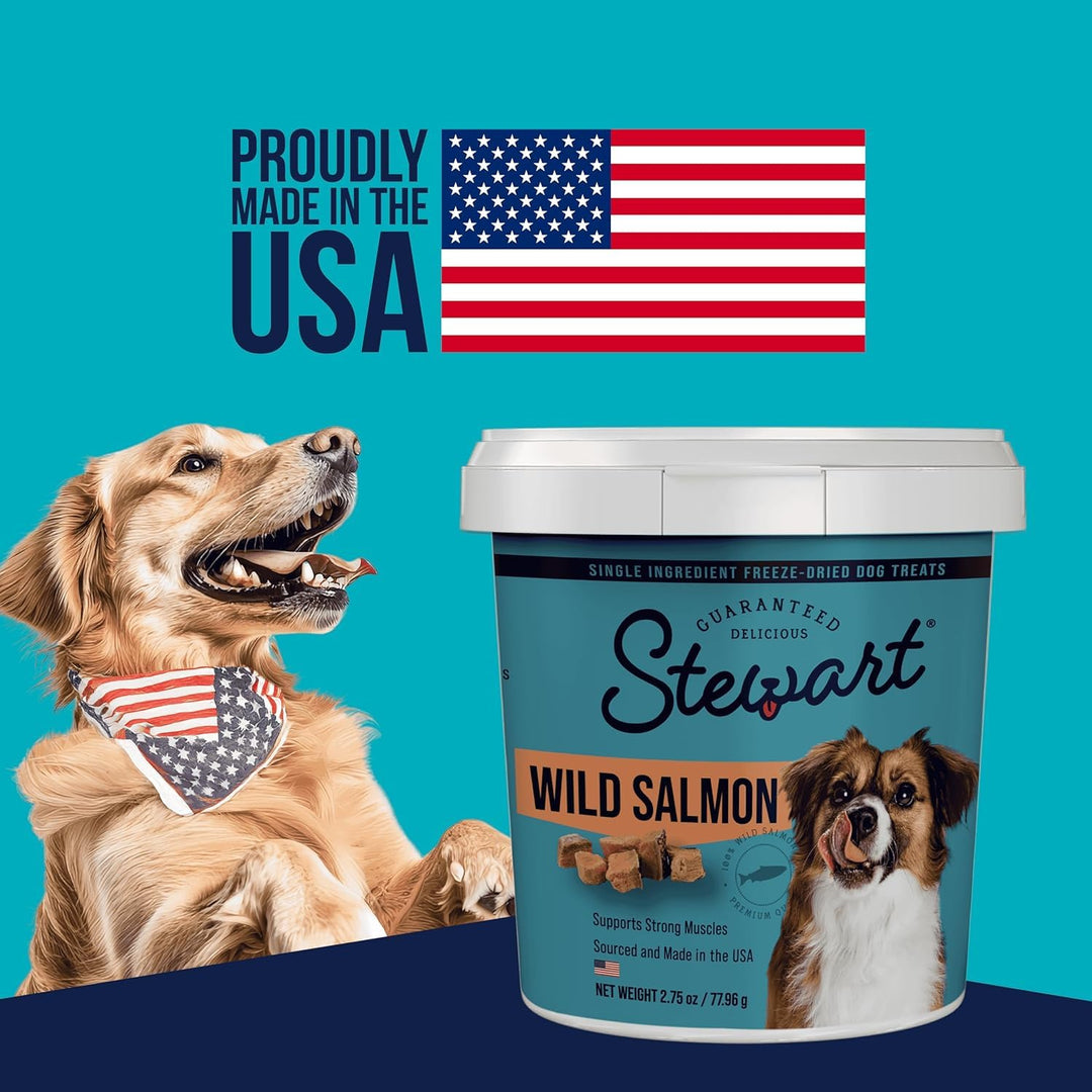 Single Ingredient Freeze Dried Raw Dog Treats, Wild Salmon, 9.5 Ounce Resealable Tub, Training Treats or Meal Topper for All Size Dogs, High Protein, Grain-Free, Gluten-Free
