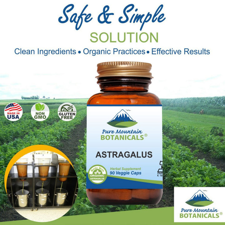 Pure Mountain Botanicals Astragalus Root Capsules - 90 Kosher Vegan Caps with 470mg Organic Astragalus