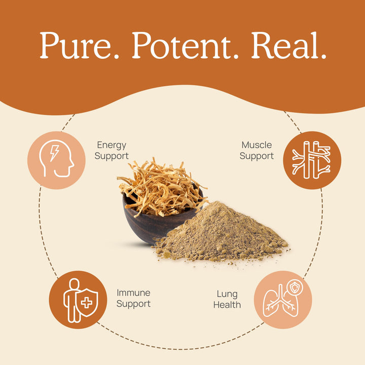Cordyceps Mushroom Extract Powder - 60G