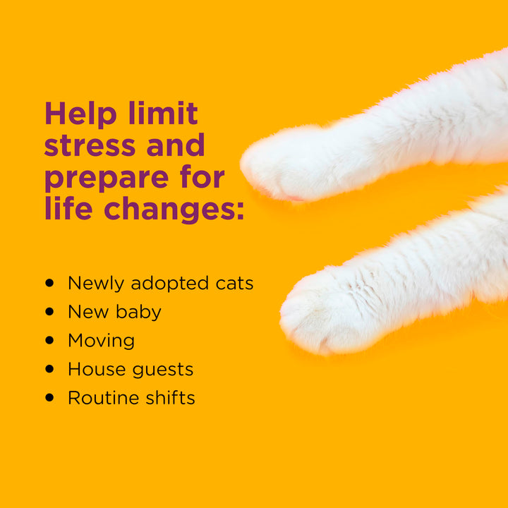 Cat Calming Diffuser: 1 Pheromone Diffusers &amp; 2 Refills (60 Days)