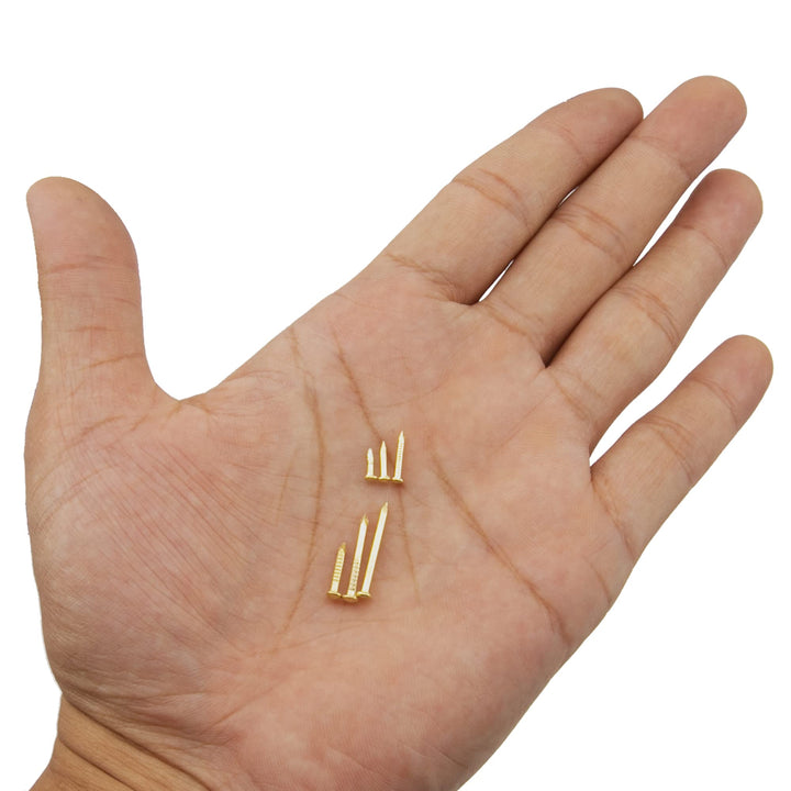 Rrina 1200Pcs Small Tiny Nails Carbon Steel Brass Plate