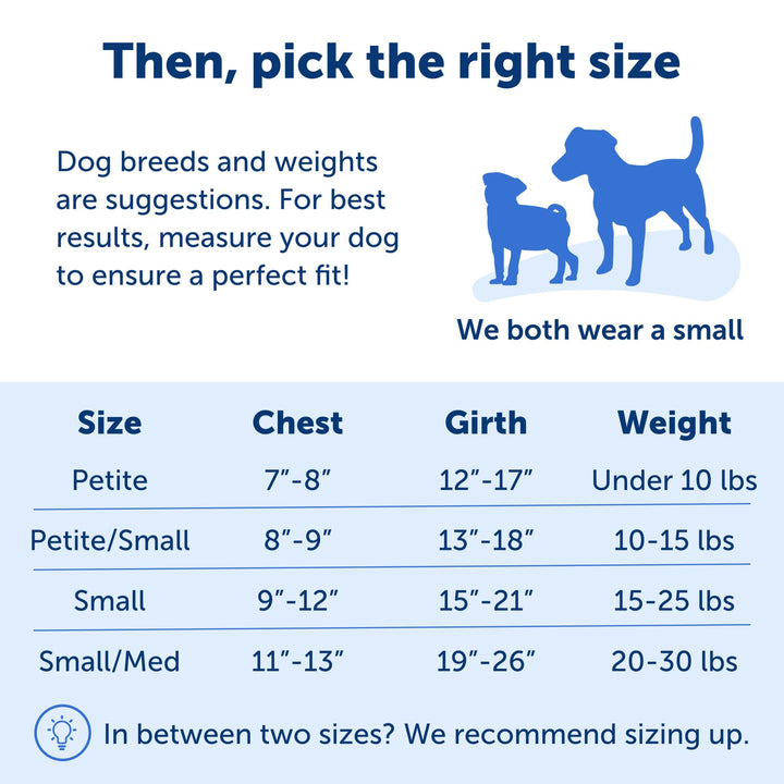 Easy Walk No-Pull Dog Harness - The Ultimate Harness to Help Stop Pulling - Take Control &amp; Teach Better Leash Manners - Helps Prevent Pets Pulling on Walks, Small, Raspberry/Gray
