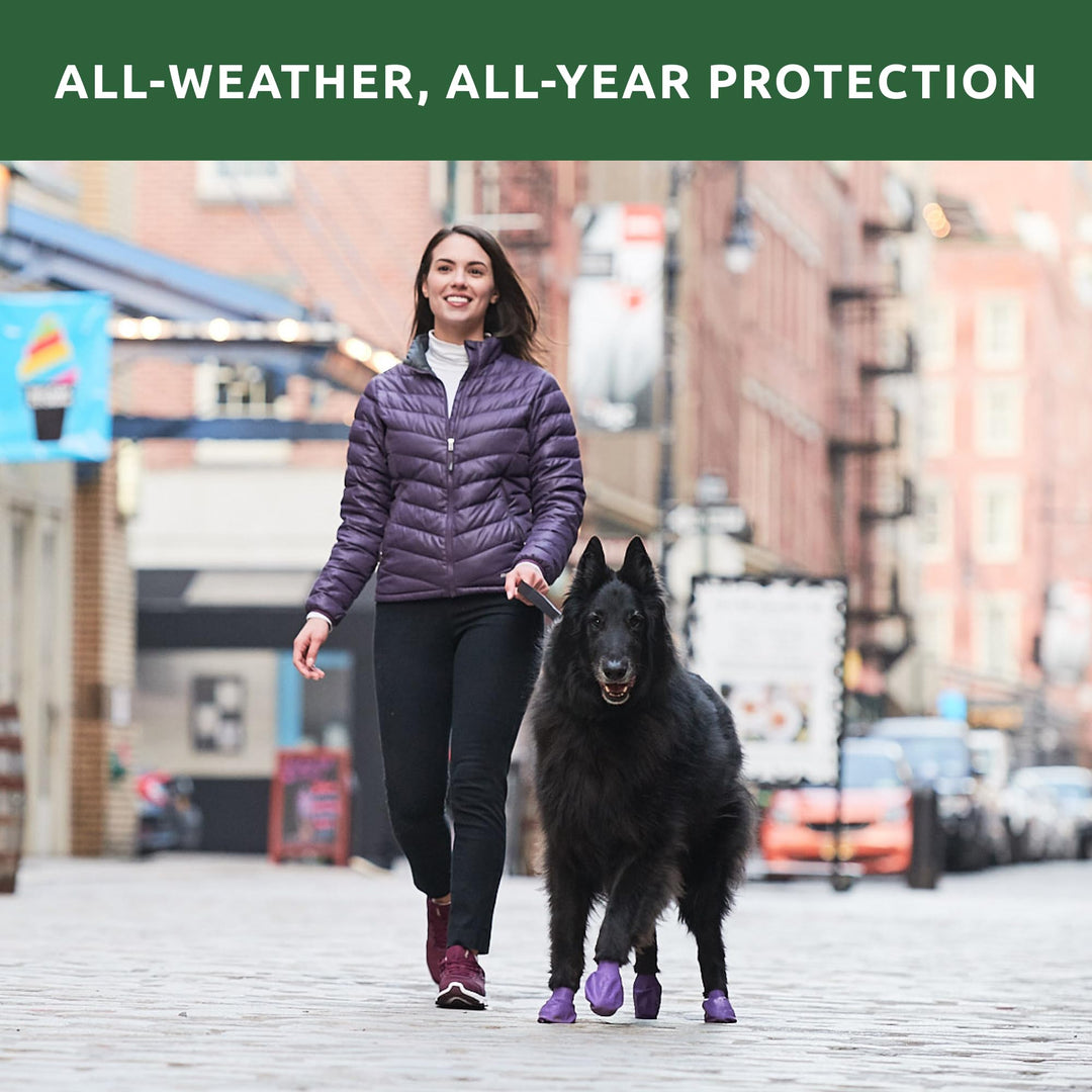 PawZ Rubber Dog Boots for Paws up to 5 - Dog Booties for Hot Pavement, Anti Slip Dog Socks, 12 Reusable Paws Waterproof Dog Boots, XL, Green