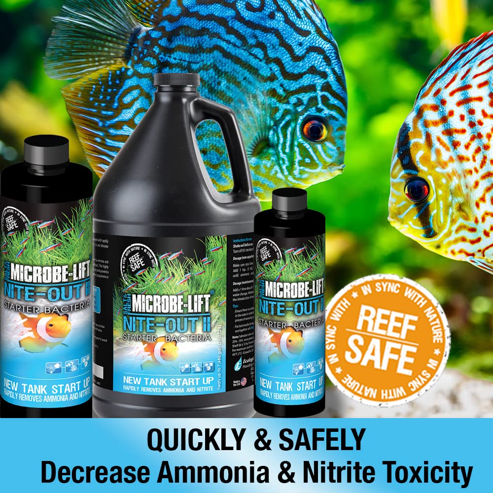 NITEH16 Nite-Out II Aquarium and Fish Tank Cleaner for Rapid Ammonia and Nitrite Reduction, Freshwater and Saltwater, 16 Ounces