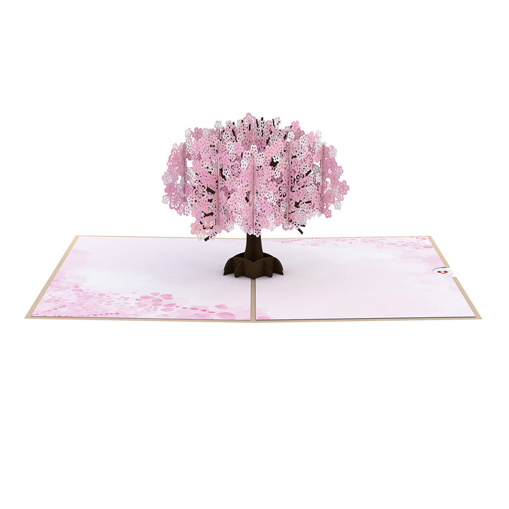 Everyday Pop-Up Card for Her and Him- 3D Thinking of You Greeting Cards for Boys, Girls, Men, Women - 5 x 7 Cherry Blossom - Blank Note Card &amp; Envelope Included