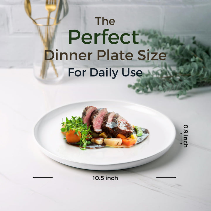 Ceramic Dinner Plates Set of 6, Wavy Rim 10.5 Inch Stoneware Dish Set, Large Dinnerware Plates for Kitchen-Microwave&amp;Dishwasher Safe, Scratch Resistant-Reactive Glaze Matte White