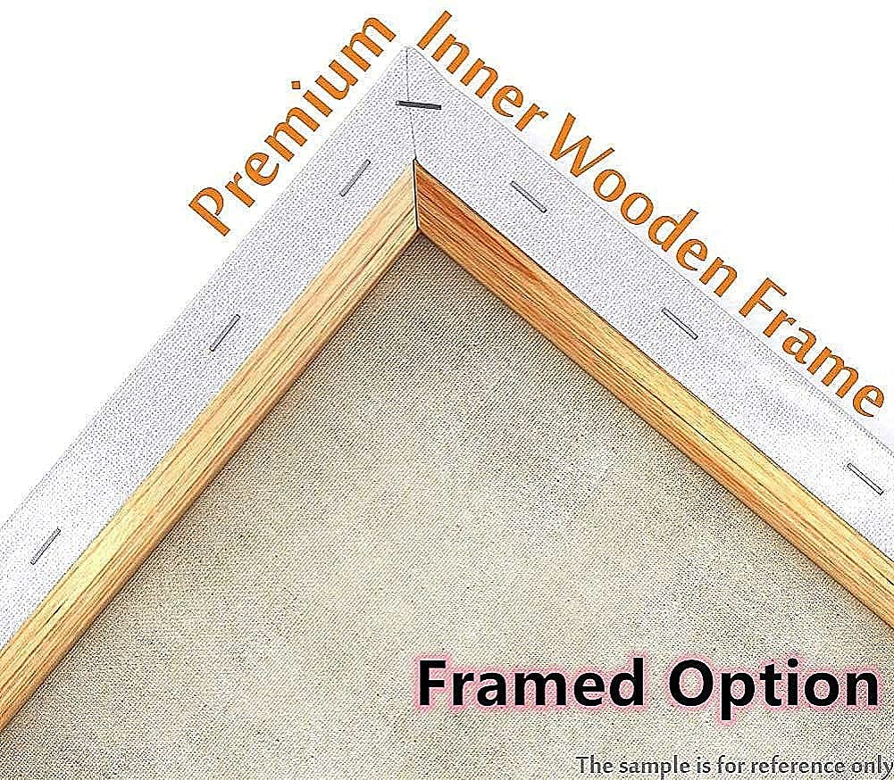 Meecaa Paint by Numbers Constellation Lion Shooter Kit for Adults Beginner DIY Oil Painting 16x20 inch (Constellation, Framed)