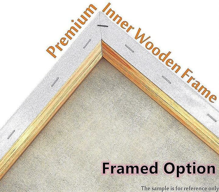 Meecaa Paint by Numbers Constellation Lion Shooter Kit for Adults Beginner DIY Oil Painting 16x20 inch (Constellation, Framed)