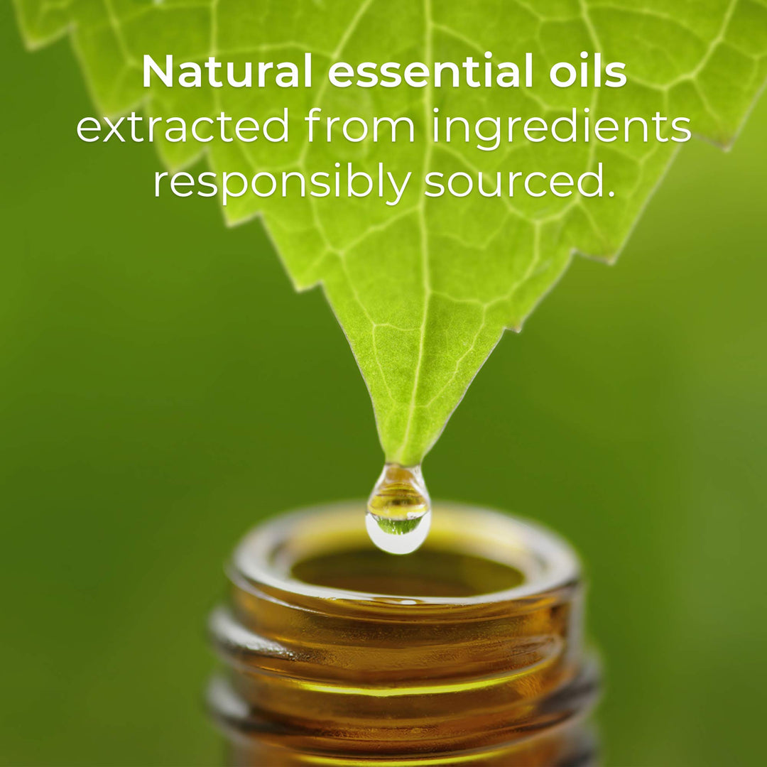 Botanica Plug in Scented Oil Refill, 2 Refills, French Lavender and Honey Blossom, Air Freshener, Essential Oils