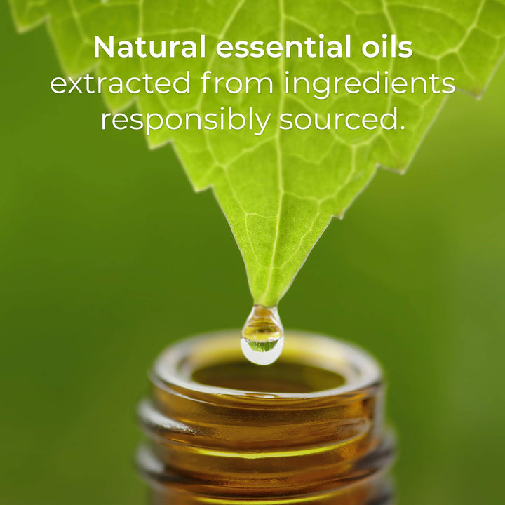 Botanica Plug in Scented Oil Refill, 2 Refills, French Lavender and Honey Blossom, Air Freshener, Essential Oils