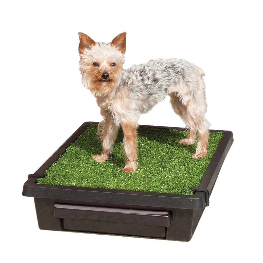 Pet Loo Portable Dog Potty - Pet Toilet Alternative for Puppy Pads - Small - Perfect for House Training - Easy-to-Clean Grass Mat