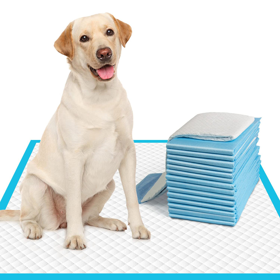 Extra Large Dog Pee Pads 28x30-50 Count | X-Large Puppy Pee Training Pads Super Absorbent &amp; Leak-Proof | Disposable Pet Piddle and Potty Pads for Puppies | Dogs | Doggie