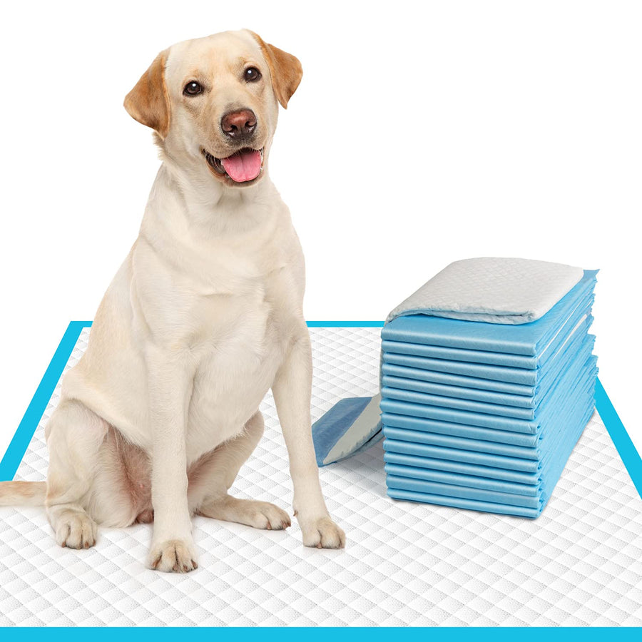 Extra Large Dog Pee Pads 28x30-50 Count | X-Large Puppy Pee Training Pads Super Absorbent & Leak-Proof | Disposable Pet Piddle and Potty Pads for Puppies | Dogs | Doggie