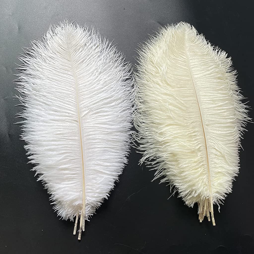 20pcs Natural Ostrich Feathers 10-12 inch(25-30cm) Plume for Wedding Decoration Costume Customization and Halloween Party Carnival (Ivory)