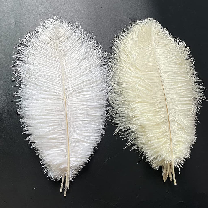 20pcs Natural Ostrich Feathers 10-12 inch(25-30cm) Plume for Wedding Decoration Costume Customization and Halloween Party Carnival (Ivory)