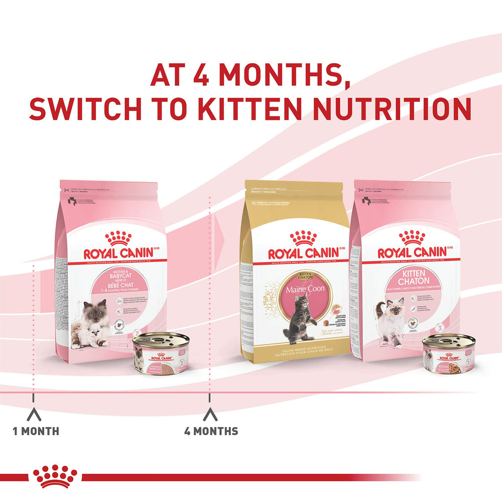 Feline Health Nutrition Mother & Babycat Ultra Soft Mousse in Sauce Canned Cat Food, 3 oz can (24-count)