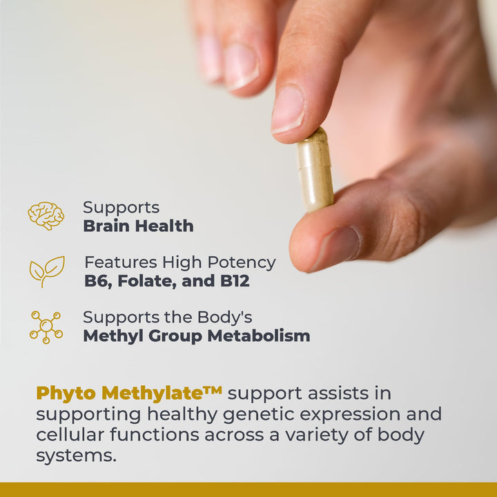 Phyto Methylate - B Vitamin Supplement - Supports Methylation, Detox, Brain &amp; Heart Health - 5-MTHF &amp; P5P - 60 Plant-Source Capsules