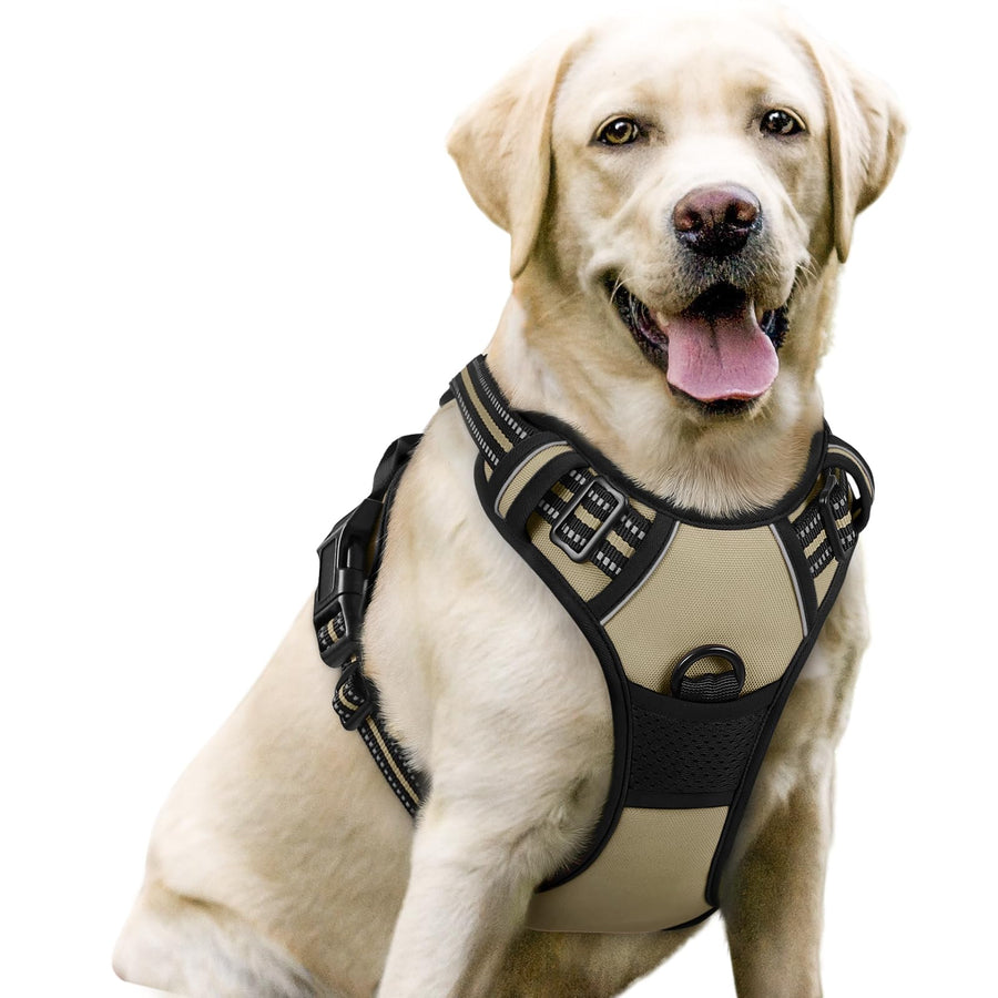 Dog Harness No Pull with 2 Leash Clips, Adjustable Soft Padded, Reflective Oxford No Choke Pet Vest with Easy Control Handle for Large Dogs, Beige, L